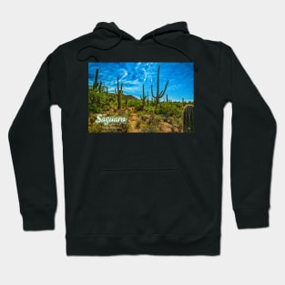 Saguaro National Park Hoodie